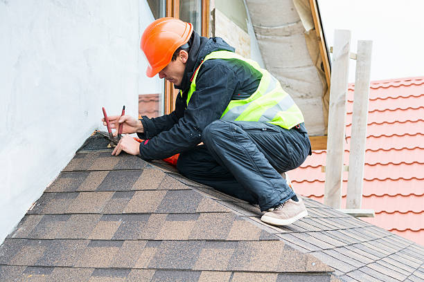 Best Roof Gutter Cleaning  in Littlerock, CA